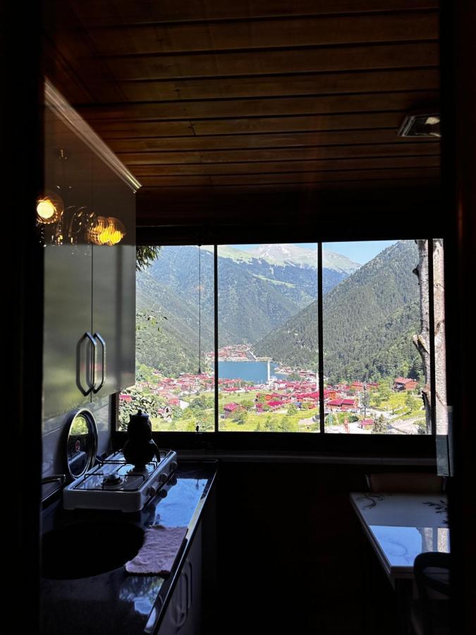 Maneviga Cafe & Apart Aparthotel Hồ Uzungöl Ngoại thất bức ảnh